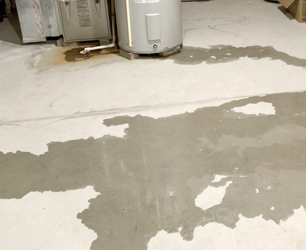 Water in Your Basement After a Winter Thaw? A Hidden Plumbing Failure Could Be the Cause