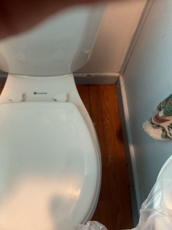 Responded to report of water audible within walls on lower level of residence. Conducted thorough inspection of basement/crawlspace area and identified source of water intrusion affecting downstairs area. Inspected exposed plumbing infrastructure including PVC drainage system, copper supply lines, and floor joist cavities. Assessed structural components and plumbing connections for leaks or failures. Documented conditions of affected areas including bathroom fixtures and foundation walls showing no visible discoloration despite audible water presence. Completed diagnostic evaluation and photographic documentation of plumbing systems and potential leak sources for repair recommendations.