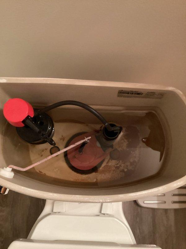 Performed routine maintenance flush on gas tanked water heater located in garage. Drained sediment buildup from tank, inspected anode rod and pressure relief valve for proper operation, and refilled system to restore hot water service.